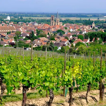 Cosy Sur La Route Des Vins Rouffach